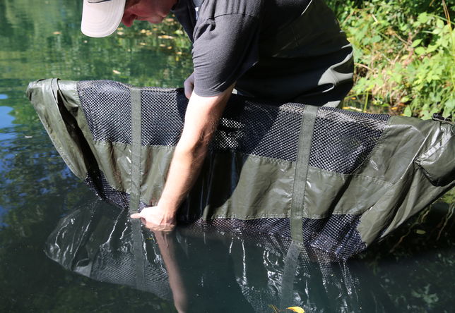 Removing the fish from the water. Removing the fish from the water.