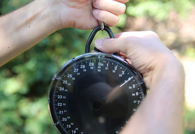 Zero your scales. Zero your scales.